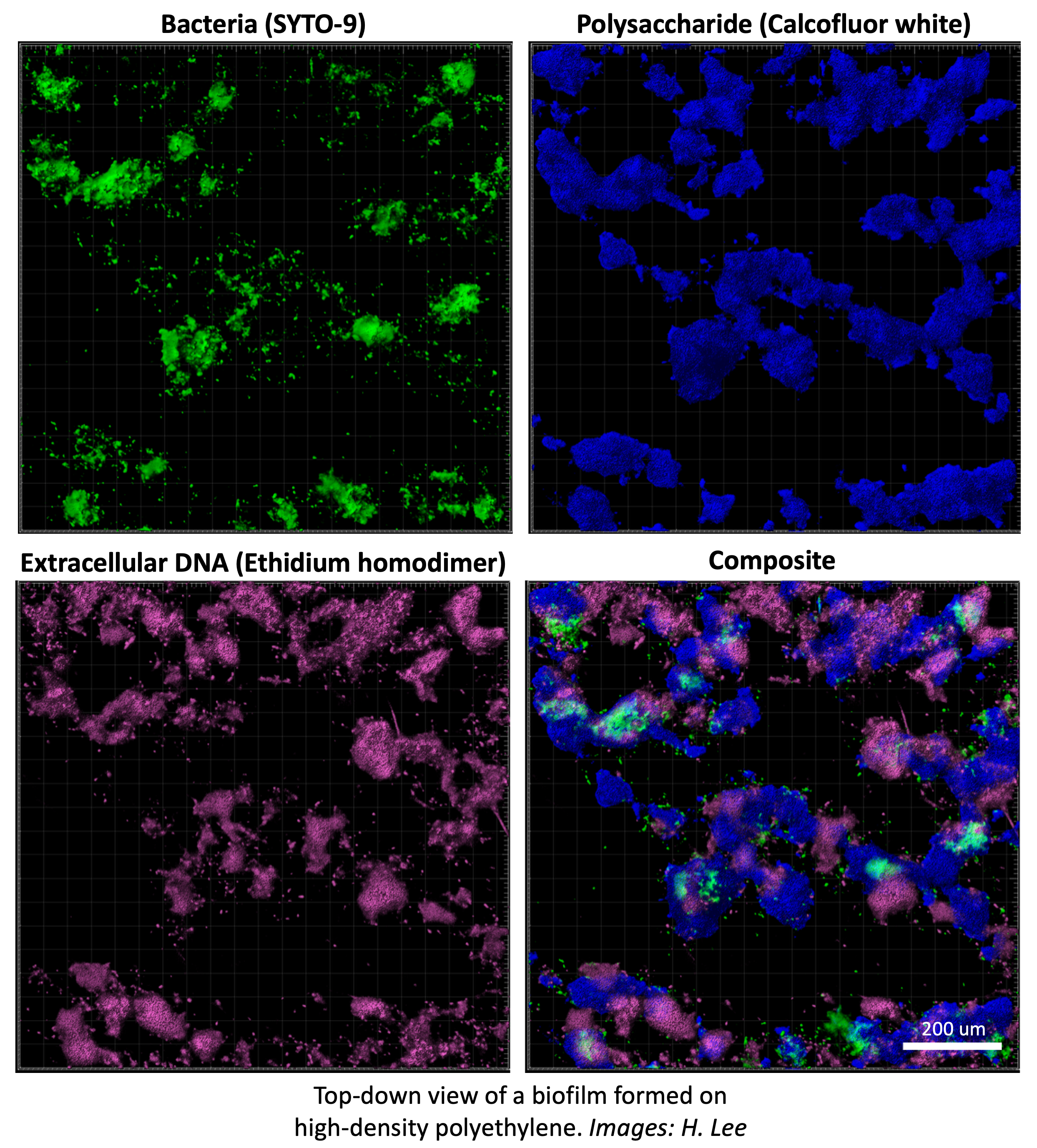 research-image
